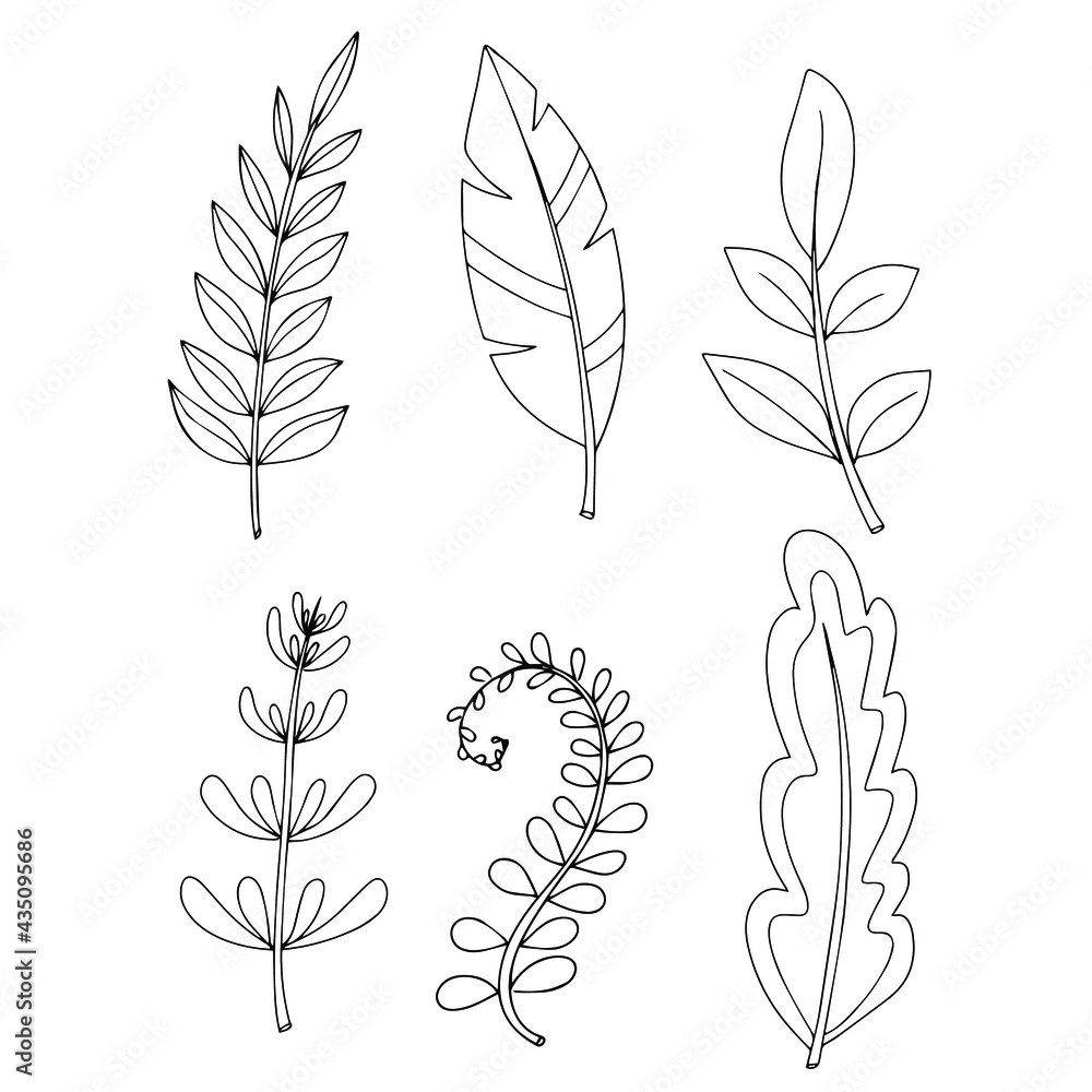 Simple doodle of a plant. Leaf from a tree. Vector illustration isolated on white background. hand-drawn. Simple doodle of a plant. Leaf from a tree. Vector illustration isolated on white background. hand-drawn.