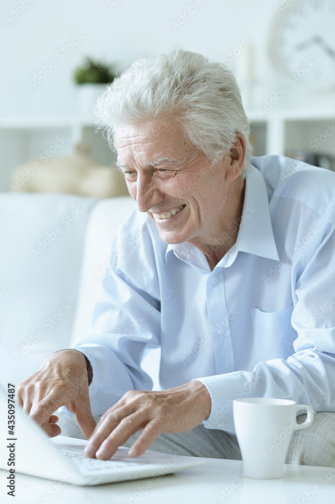 senior man using laptop at home senior man using laptop at home