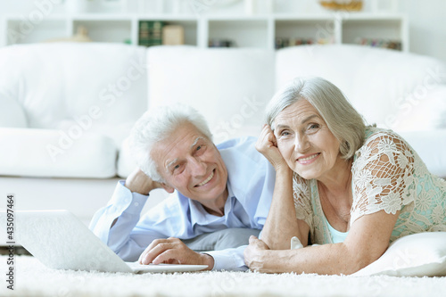 happy senior couple with laptop at home