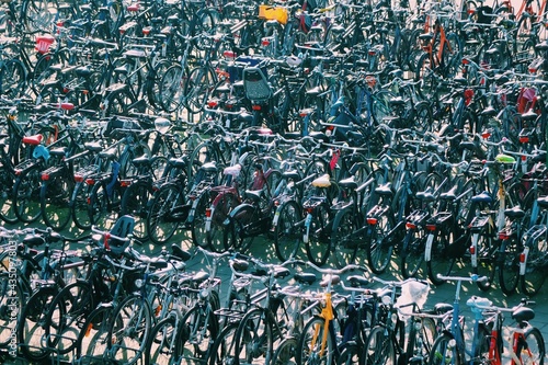 Huge bike parking in Amsterdam.