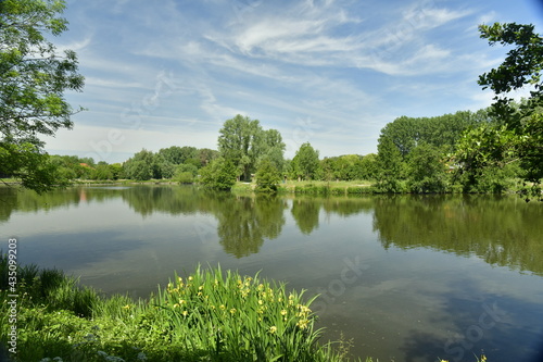 Le grand   tang de Neerpede entour   de v  g  tation luxuriante    l ouest d Anderlecht 