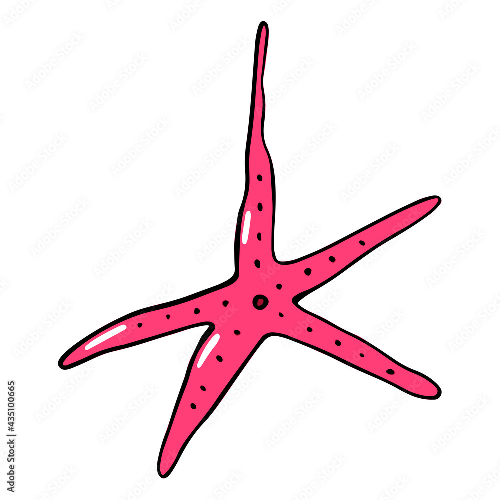 Starfish. Vector illustration in cartoon style. Can be used as stickers, decals, to decorate children's rooms. Isolated on white background. Starfish. Vector illustration in cartoon style. Can be used as stickers, decals, to decorate children's rooms. Isolated on white background.