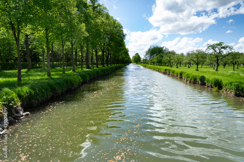 Avenue of ornamental trees along a historical canal on a bright sunny day photo