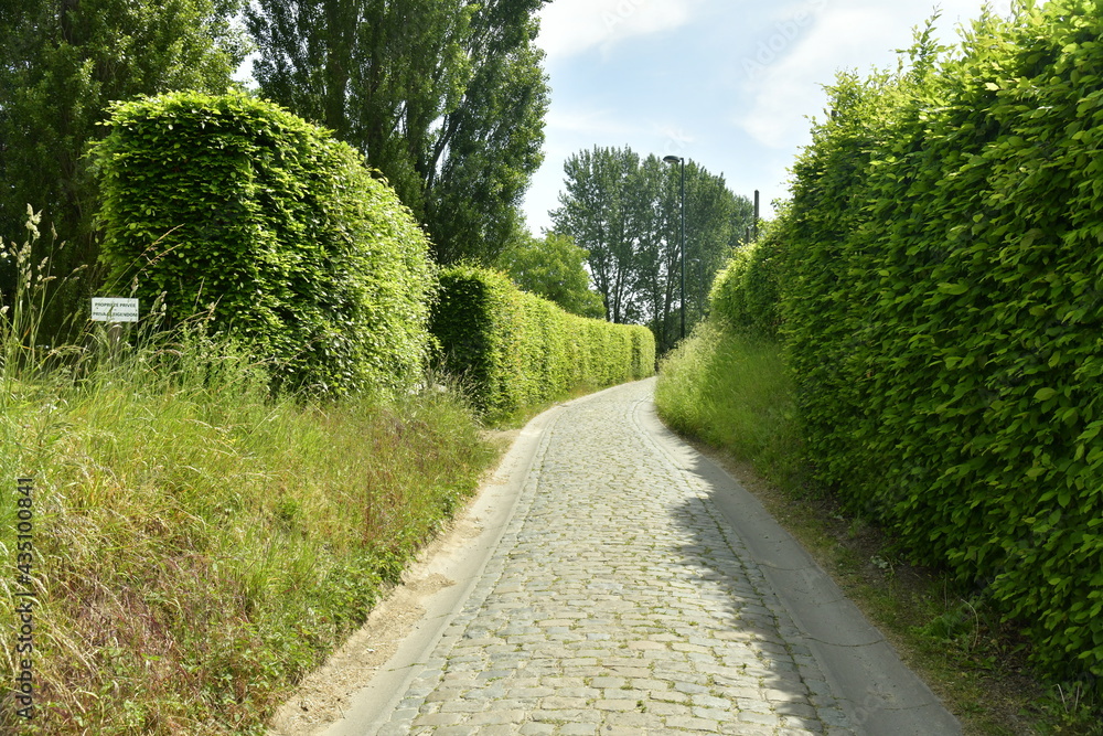 Chemin pavé à l'une des sortie du parc Neerpede à Anderlecht 