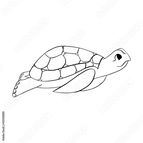 Turtle. Children's contour illustration. Doodle style. Vector. Children's coloring