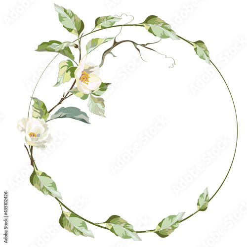 frame with jasmine branch