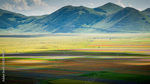 Castelluccio di Norcia - Umbria, Italy, july 7 2020 - the famous flowering of Castelluccio di Norcia. great colors during 3 weeks in june and july 'cause of lentil cultivation.