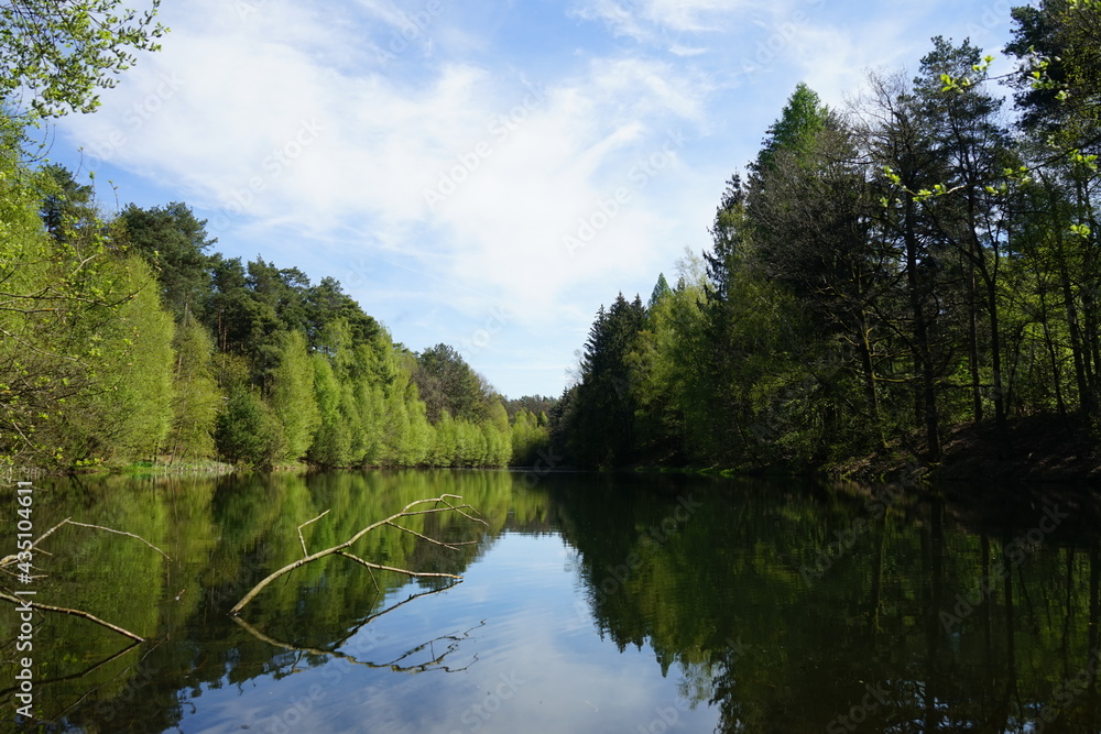 Idyllischer See im Wald, aufgestauter Ölbach im Landschaftsschutzgebiet Ölbachtal mit Augustdorfer Dünenfeld zwischen Oerlinghausen und Augustdorf, Kreis Lippe, Ostwestfalen-Lippe