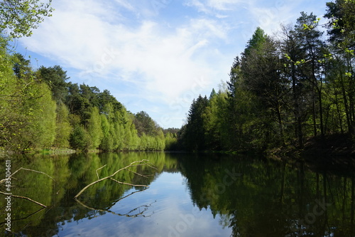 Idyllischer See im Wald, aufgestauter Ölbach im Landschaftsschutzgebiet Ölbachtal mit Augustdorfer Dünenfeld zwischen Oerlinghausen und Augustdorf, Kreis Lippe, Ostwestfalen-Lippe