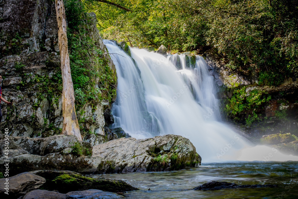 Fototapeta premium Abrams Falls - Townsend Tennessee