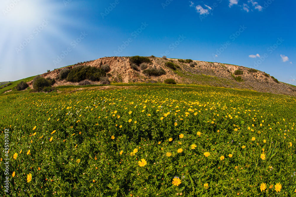 The Negev Desert. Israel