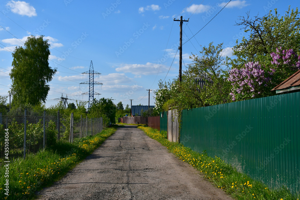 A street in a horticultural association on a clear spring day. Dandelions along the fence. Dirt road. Dried mud splatters on the fence
