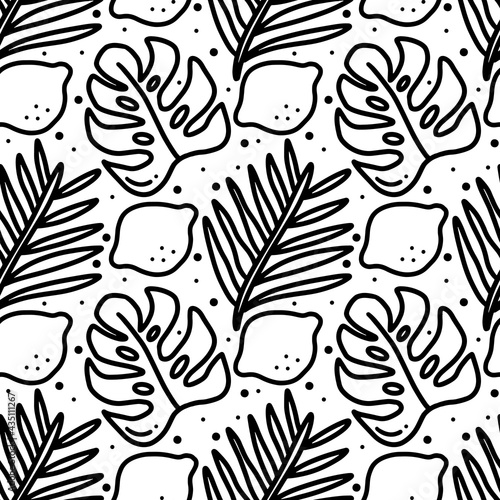 scribble pattern of hand drawn seaweed and fruit lime
