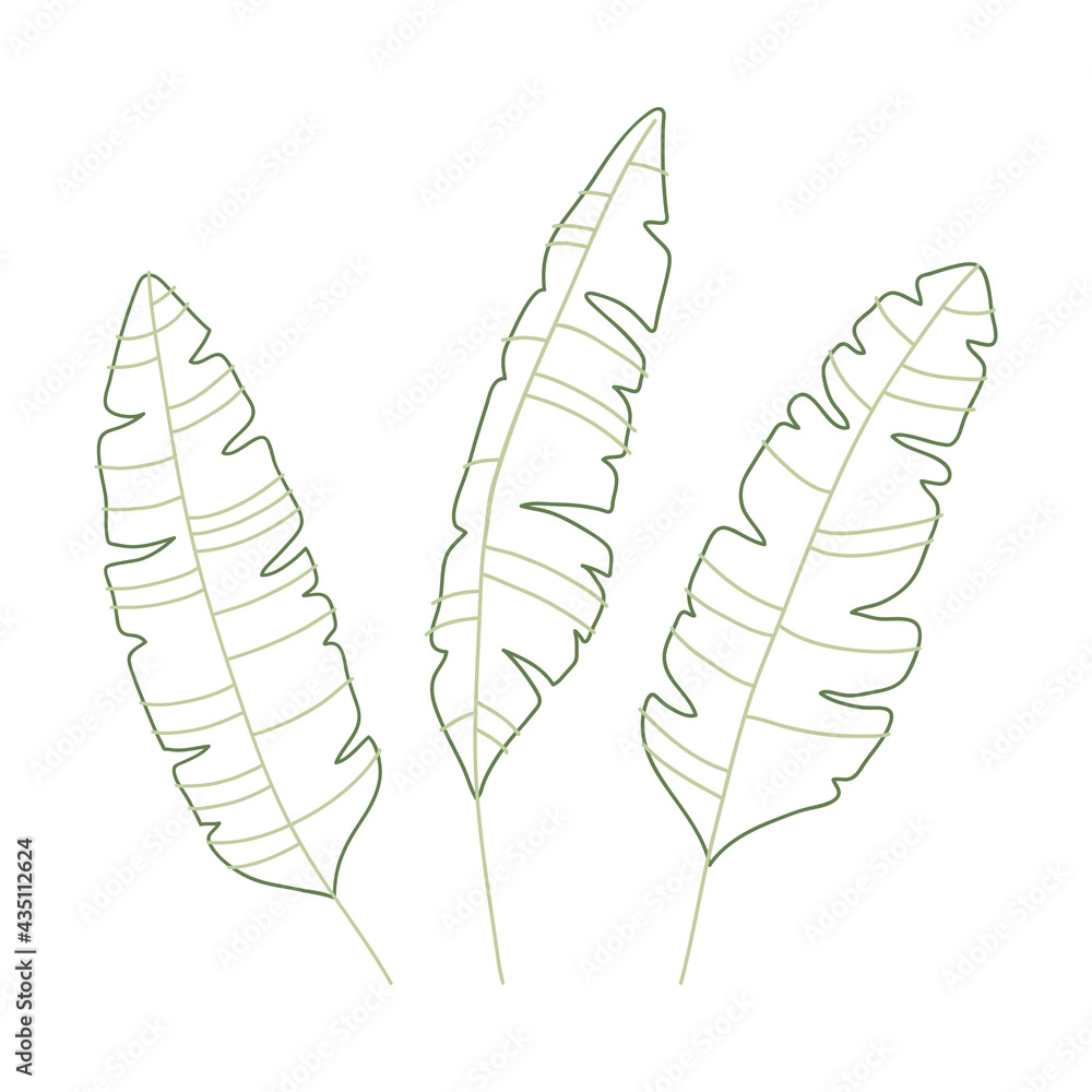 Set of palm leaf in line art style. Set of elegant hand drawn tropical leaves of palm. Botanical design Set of palm leaf in line art style. Set of elegant hand drawn tropical leaves of palm. Botanical design