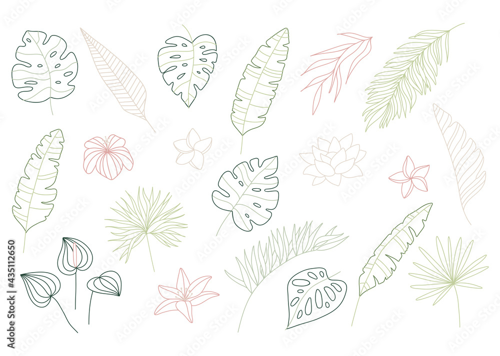 Set of delicate tropical foliage in line art style. Big set of elegant hand drawn flowers, leaves and plants. Botanical design elements