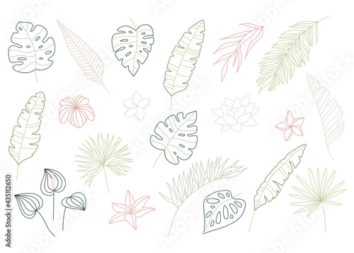 Set of delicate tropical foliage in line art style. Big set of elegant hand drawn flowers  leaves and plants. Botanical design elements