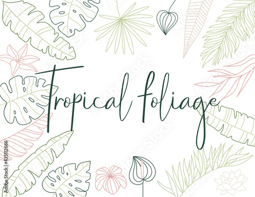 Tropical foliage frame, border in line art style. Hand drawn flowers, leaves and plants. Botanical design 