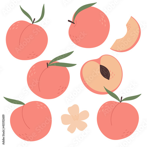 Set of peaches with leaves. Half, slice and whole shape of peach, nectarine, apricot, apple. Peaches isolated on white background. Flat design.