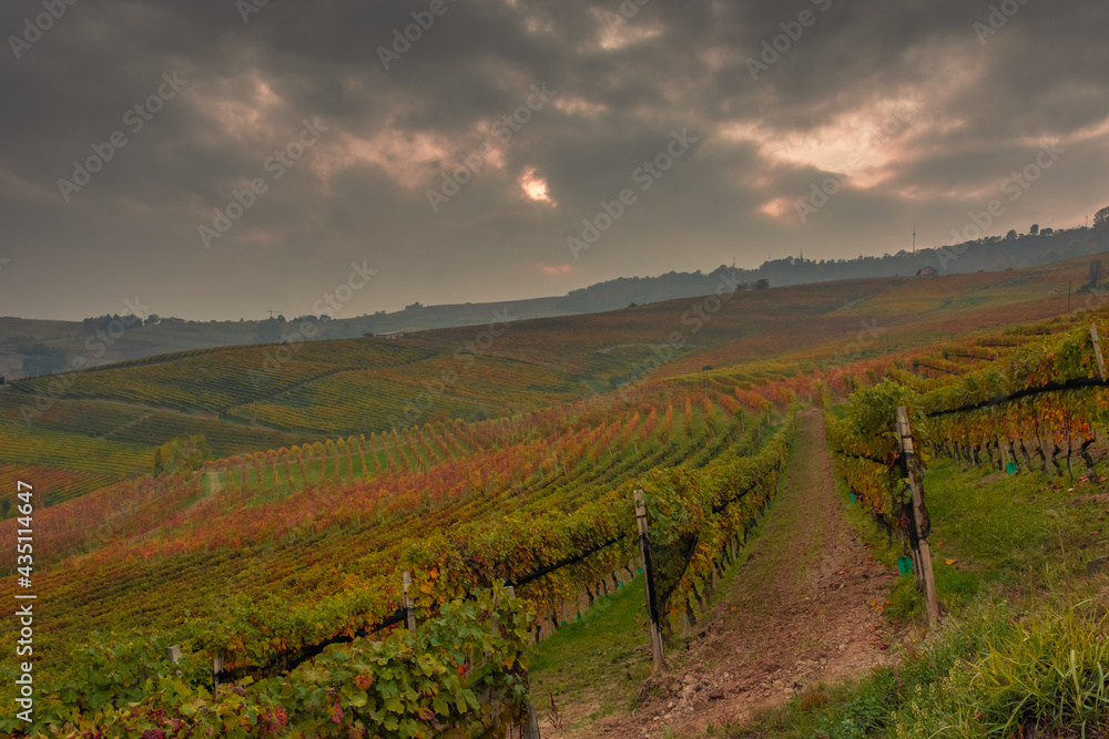 Amazing autumnal landscape in the Langhe, famous vineyard area in Piedmont Italy Amazing autumnal landscape in the Langhe, famous vineyard area in Piedmont Italy