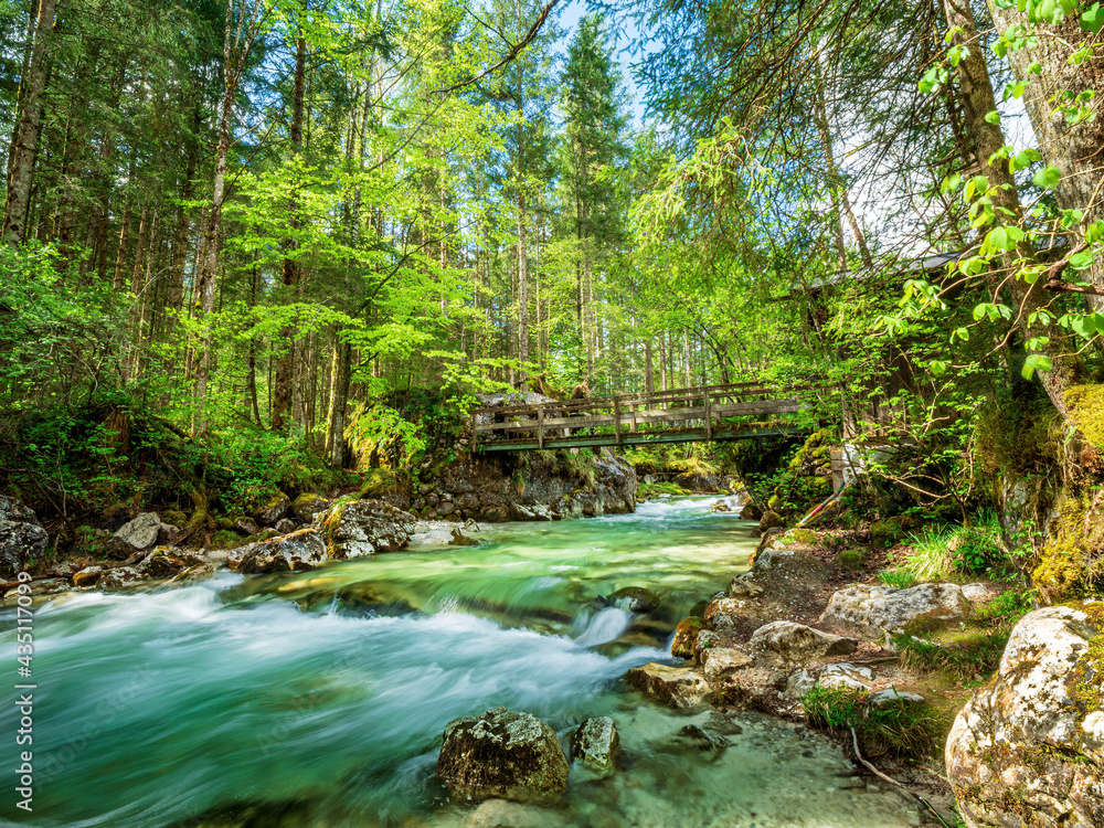 Berchtesgaden Wild River Forest Landscape close to the Hintersee Tourist area Berchtesgaden Wild River Forest Landscape close to the Hintersee Tourist area
