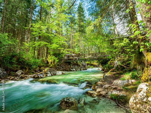 Berchtesgaden Wild River Forest Landscape close to the Hintersee Tourist area