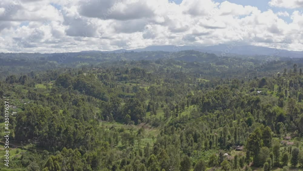 Aerial landscape view of tea plantations in Kenya. Mountains and ridges on which tea grows in a landscape with mountain tops on which trees grow in the jungle. Drone video of mountain Africa. Aerial landscape view of tea plantations in Kenya. Mountains and ridges on which tea grows in a landscape with mountain tops on which trees grow in the jungle. Drone video of mountain Africa.