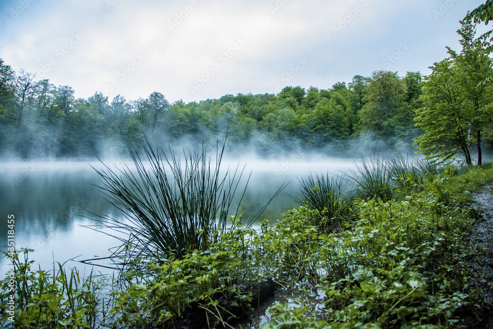 Naklejka premium Foggy green forest and lake