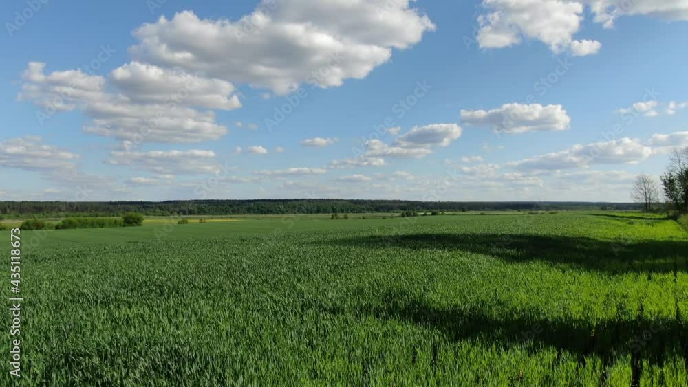 Beautiful green field from above Beautiful green field from above