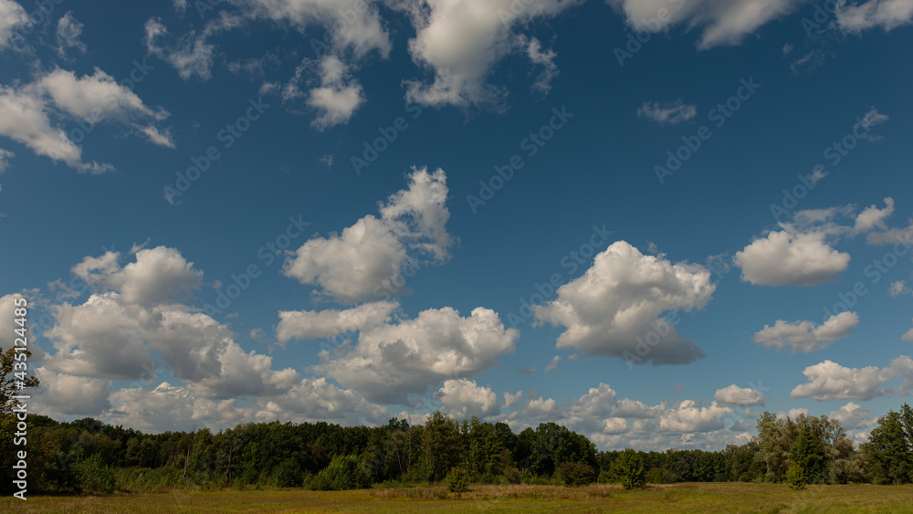 Deciduous trees with clouds in a meadow on a sunny day, panoramic rural landscape. Deciduous trees with clouds in a meadow on a sunny day, panoramic rural landscape.