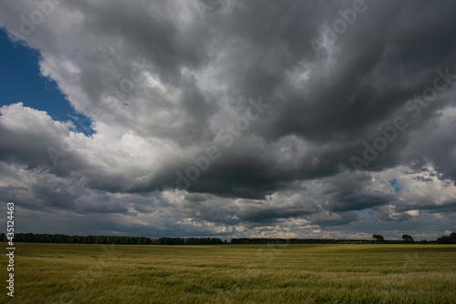 mown field against the backdrop of deciduous forest and storm clouds.