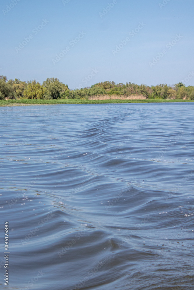 View from the water to the shore with trees View from the water to the shore with trees