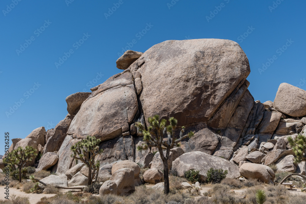Scenic rock formation at the Joshua Tree National Park, Southern California Scenic rock formation at the Joshua Tree National Park, Southern California