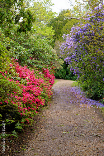 Slika na platnu Spring in the grounds of Exbury gardens