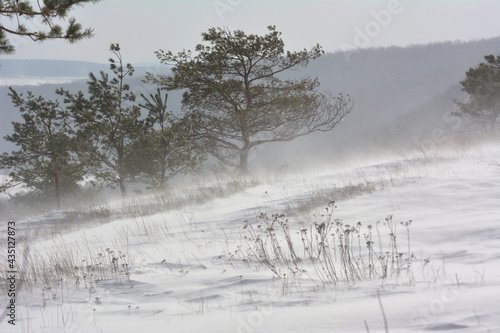 Winter blizzard with wind and snow © orestligetka