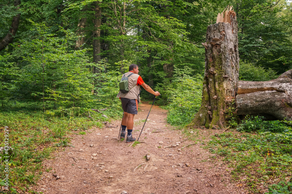 Hiker trekking in the mountains. Active life concept. Hiker trekking in the mountains. Active life concept.
