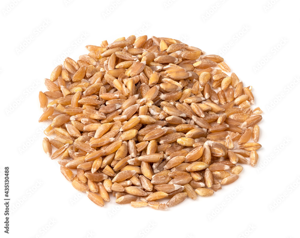 pile of whole Emmer farro grains closeup on white pile of whole Emmer farro grains closeup on white