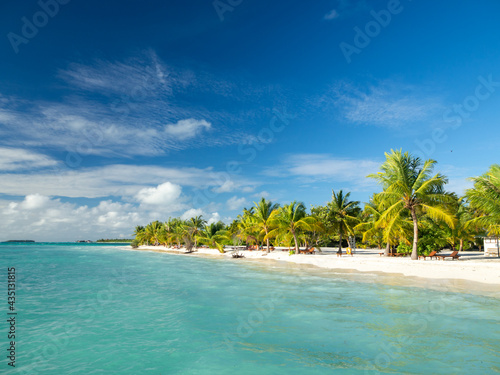 Maldives tropical islands panoramic scene  idyllic beach palm tree vegetation and clear water Indian ocean sea  tourist resort holiday vacation