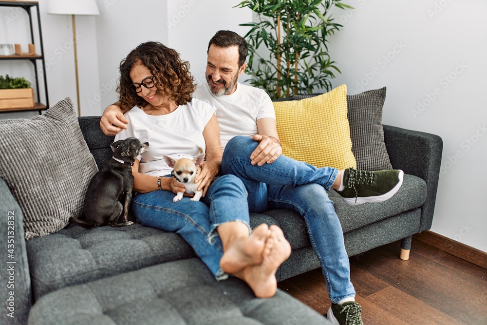 Middle age hispanic couple smiling happy sitting on the sofa with dogs at home.