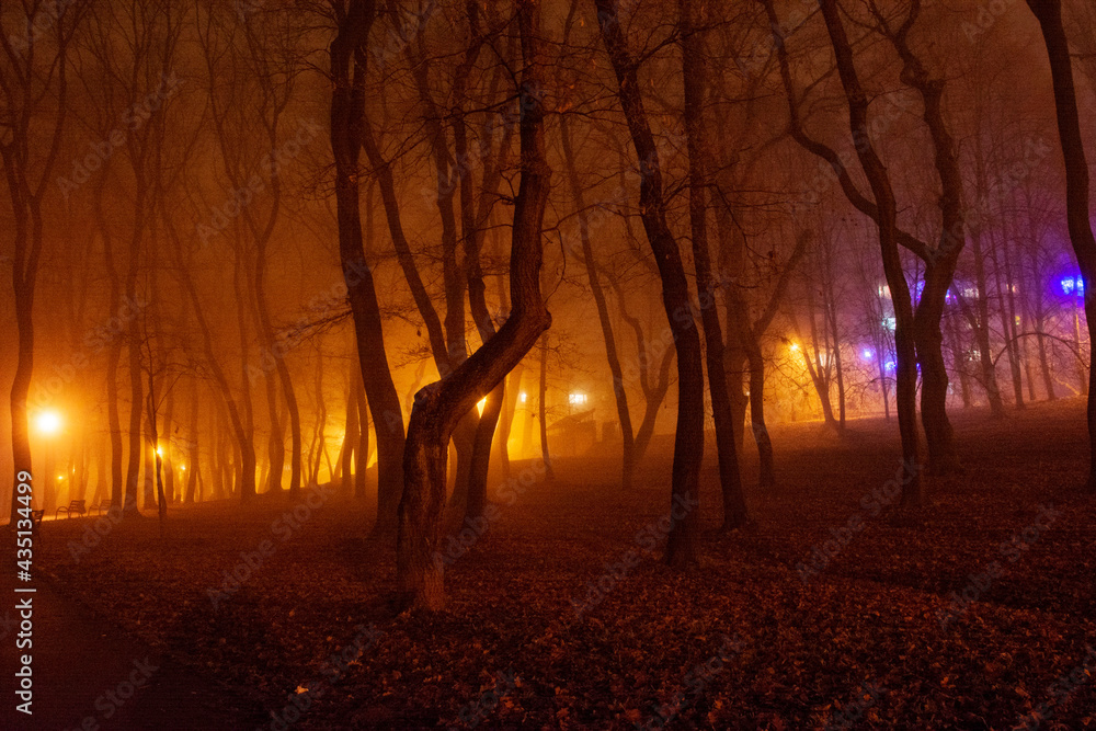 park nocą park nocą