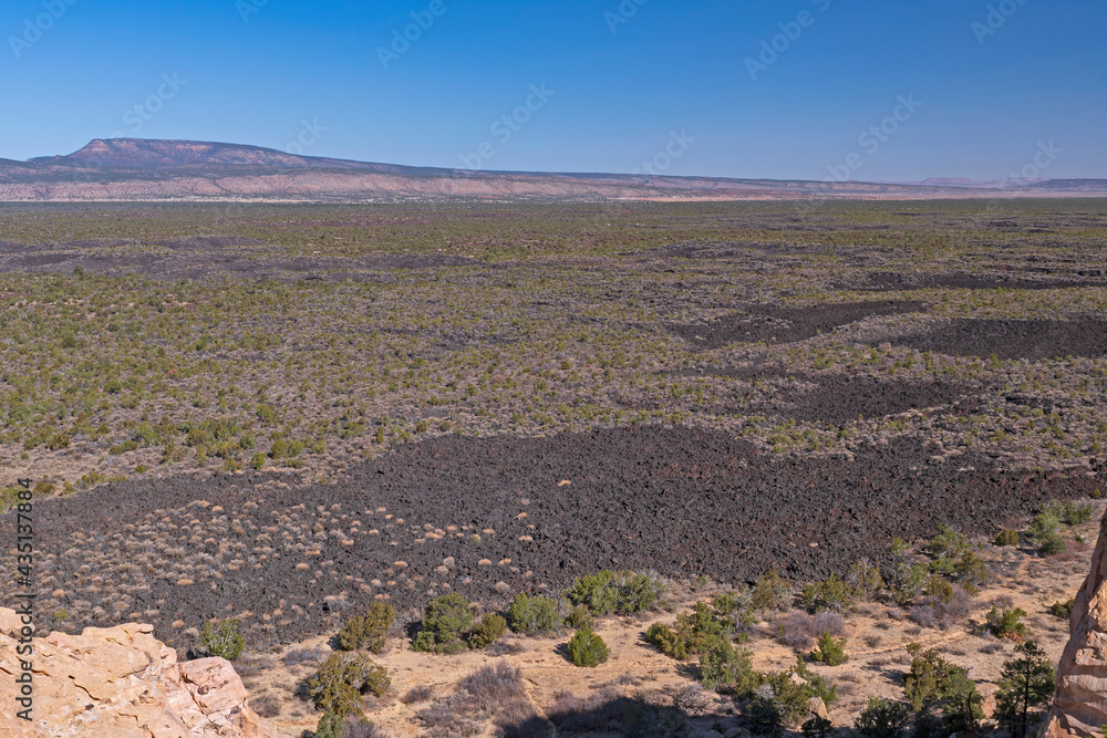 Lava Plain in the Desert