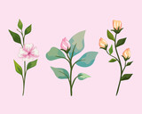 flowers with leaves symbol set