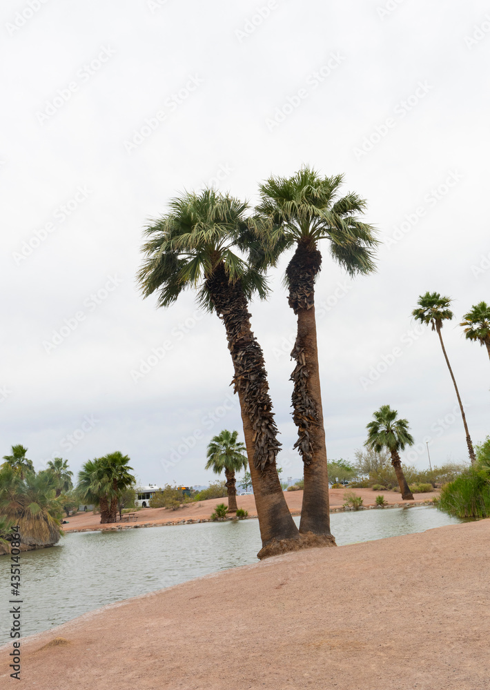 Landscape photo of Papago Park in the desert of Phoenix, Arizona, USA taken during a cloudy afternoon.