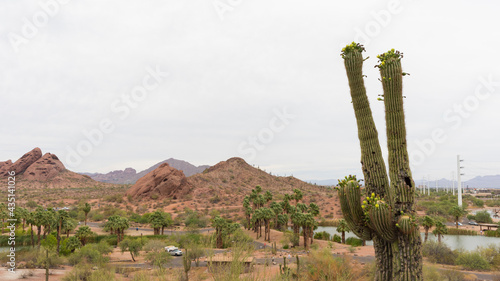 Landscape photo of Papago Park in the desert of Phoenix, Arizona, USA taken during a cloudy afternoon. © Cin8