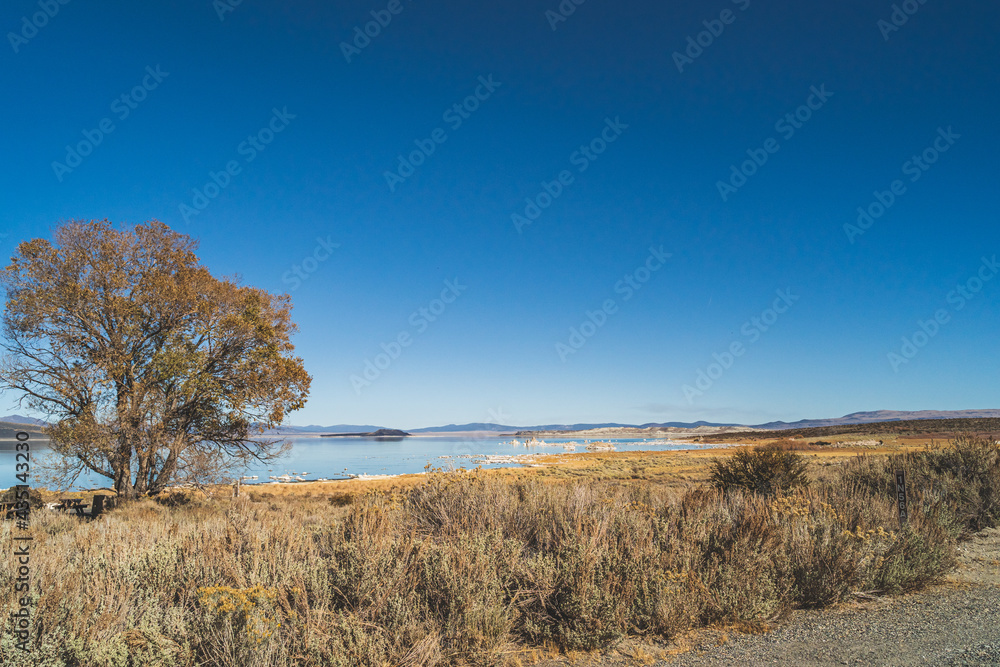 Mono lake, California in Autumn on sunny day with clear blue sky and tufa Mono lake, California in Autumn on sunny day with clear blue sky and tufa