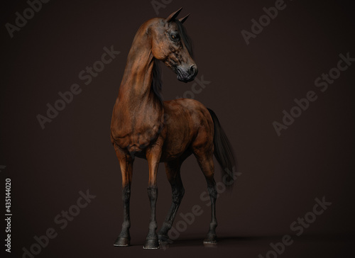 brown horse portrait - 3d rendering