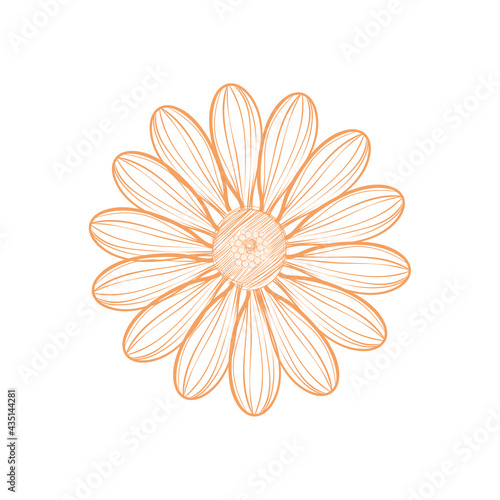 Isolated flower icon