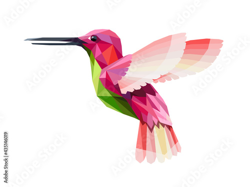 Hummingbird colorful low poly vector illustration