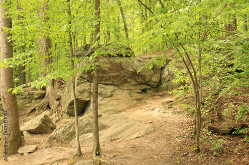 States parks all over America have hiking trials and nature trials, hikers can get back to the outdoors and wildlife and enjoy nature at its best.