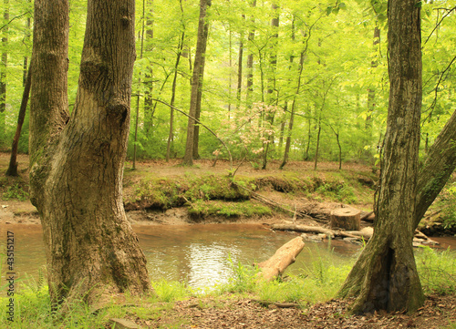 States parks all over America have hiking trials and nature trials, hikers can get back to the outdoors and wildlife and enjoy nature at its best.