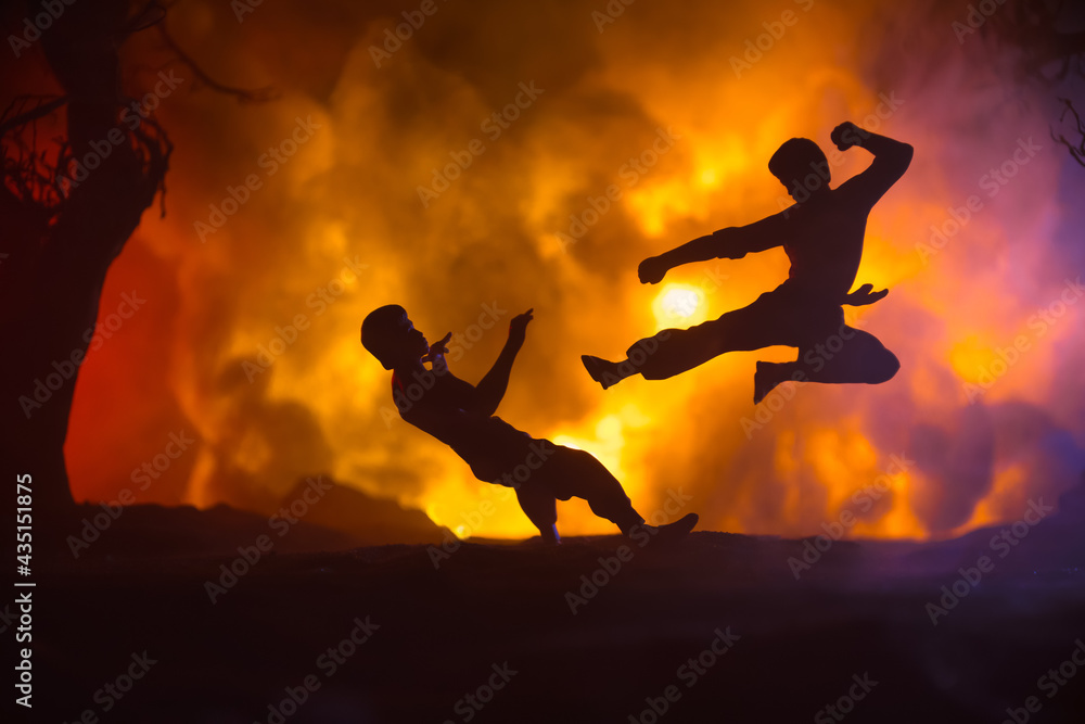 Fighting Images Karate athletes fighting scene on boxing ring with red ropes. Character ...